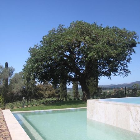 Agriturismo Il Broletto Suvereto Bagian luar foto