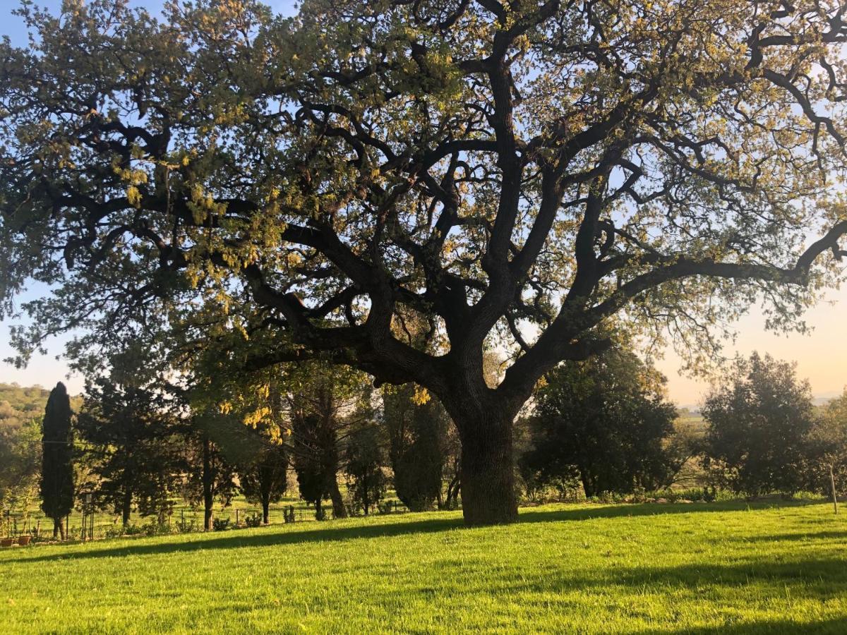 Agriturismo Il Broletto Suvereto Bagian luar foto