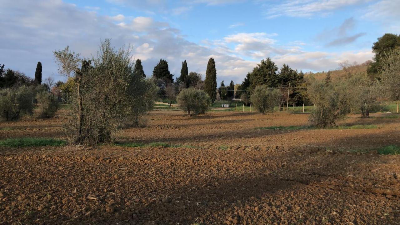Agriturismo Il Broletto Suvereto Bagian luar foto